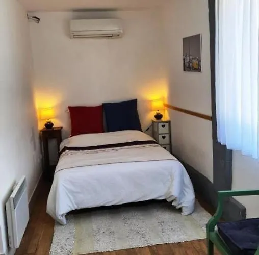 In The City-center Of With A Private Pool 昂蒂布