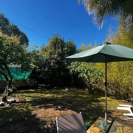 House In The City-center Of With A Private Pool * Antibes