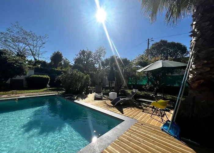 In The City-center Of With A Private Pool Antibes